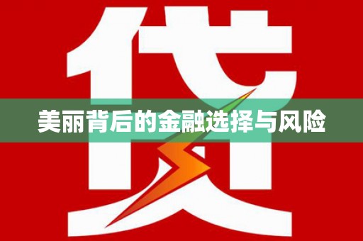 法库美丽背后的金融选择与风险