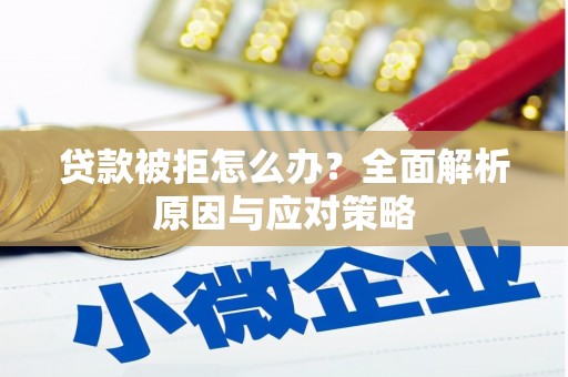 法库贷款被拒怎么办？全面解析原因与应对策略