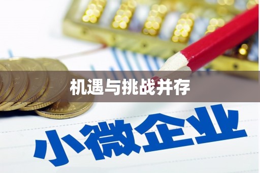 法库机遇与挑战并存