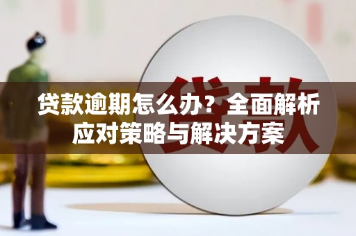 法库贷款逾期怎么办？全面解析应对策略与解决方案