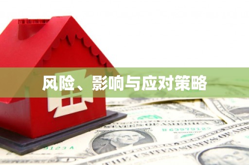 法库风险、影响与应对策略