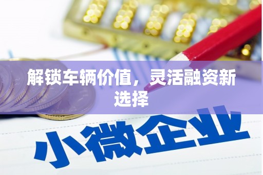 法库解锁车辆价值，灵活融资新选择