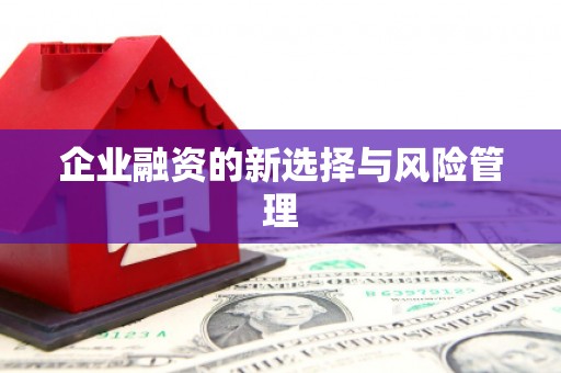 法库企业融资的新选择与风险管理