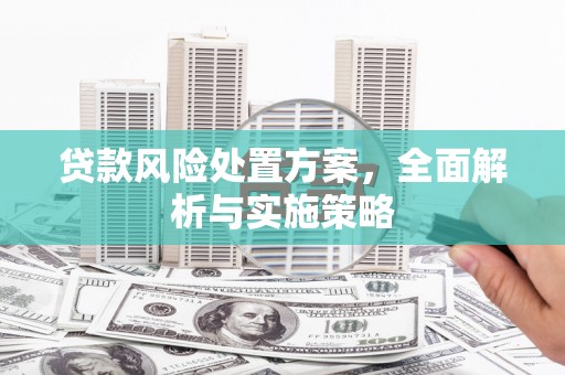法库贷款风险处置方案，全面解析与实施策略