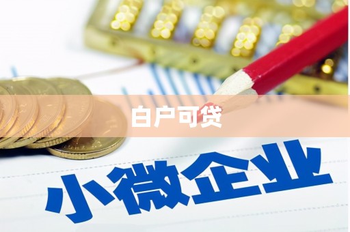 法库白户可贷