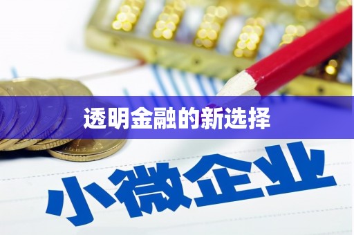 法库透明金融的新选择