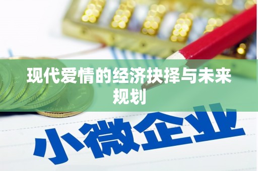 法库现代爱情的经济抉择与未来规划