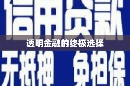 法库透明金融的终极选择