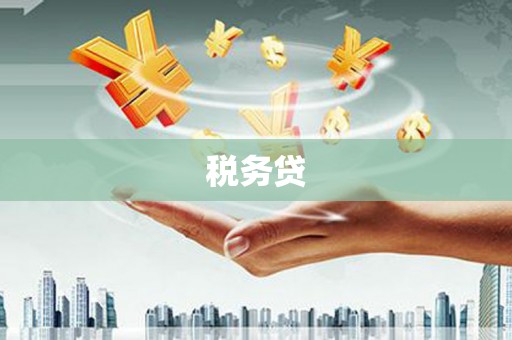 法库税务贷
