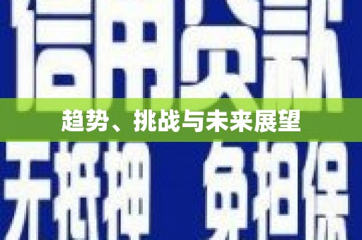 法库趋势、挑战与未来展望