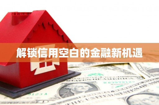 法库解锁信用空白的金融新机遇