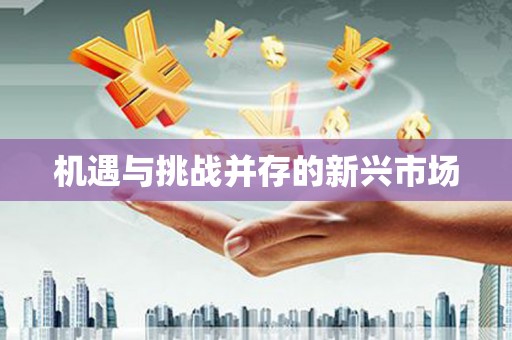 法库机遇与挑战并存的新兴市场