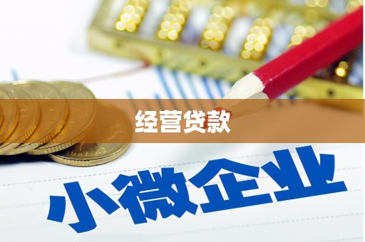 法库经营贷款