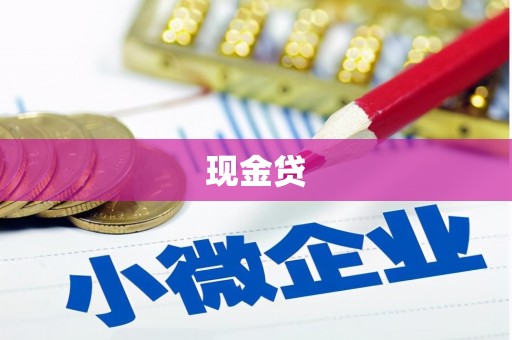 法库现金贷