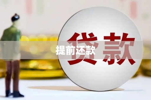 法库提前还款