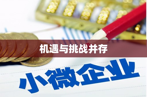 法库机遇与挑战并存