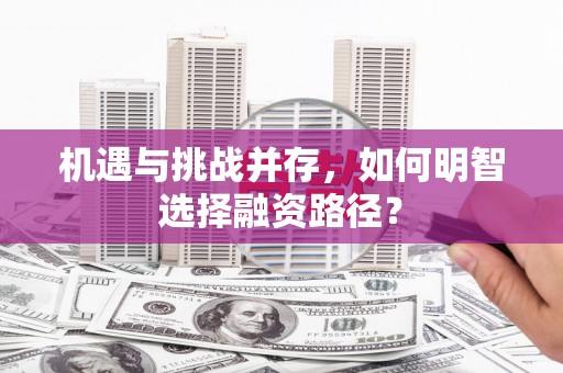 法库机遇与挑战并存，如何明智选择融资路径？