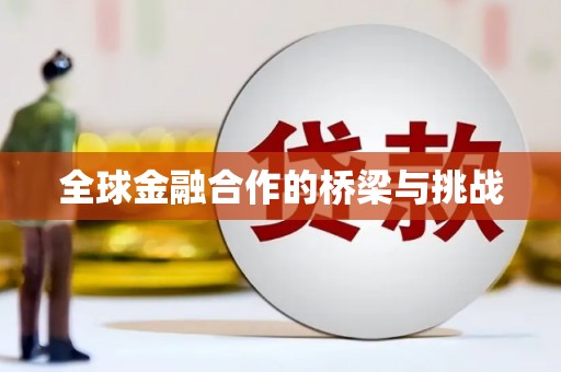 法库全球金融合作的桥梁与挑战