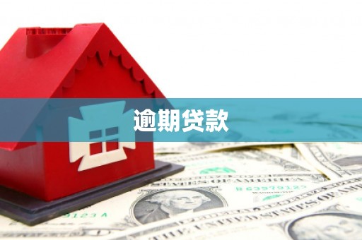 法库逾期贷款