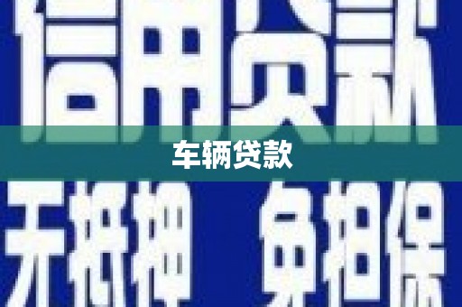 法库车辆贷款