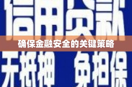 法库确保金融安全的关键策略