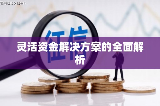 法库灵活资金解决方案的全面解析