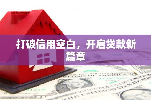 法库打破信用空白，开启贷款新篇章