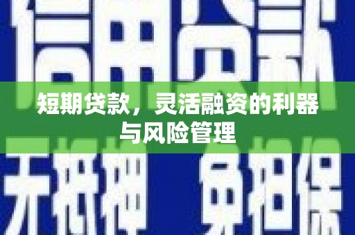 法库短期贷款，灵活融资的利器与风险管理