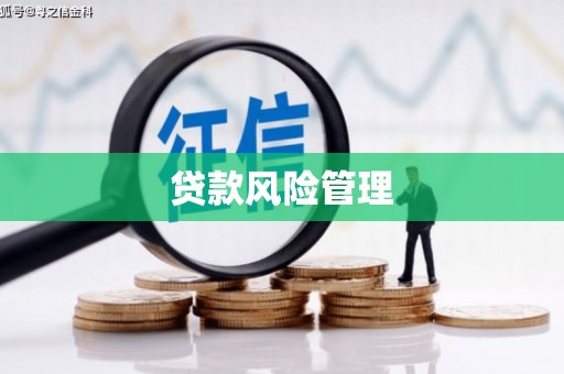 法库贷款风险管理