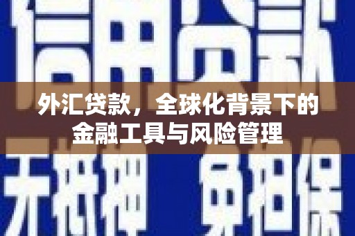 法库外汇贷款，全球化背景下的金融工具与风险管理