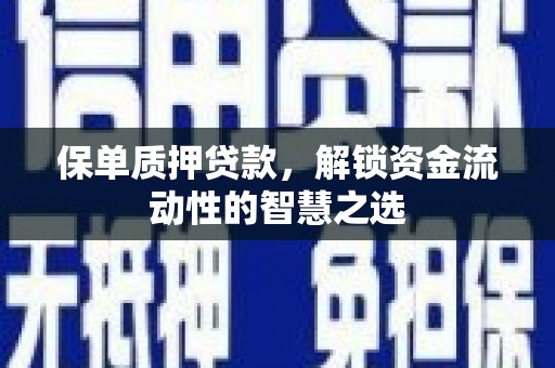 法库保单质押贷款，解锁资金流动性的智慧之选