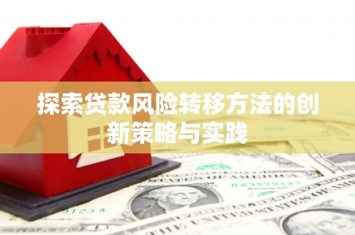法库探索贷款风险转移方法的创新策略与实践