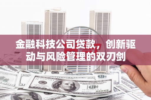 法库金融科技公司贷款，创新驱动与风险管理的双刃剑